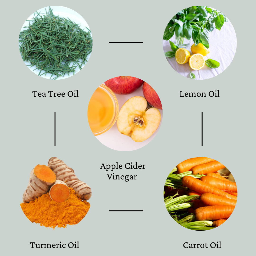 Activated Charcoal Detox Body Wash - 8 oz